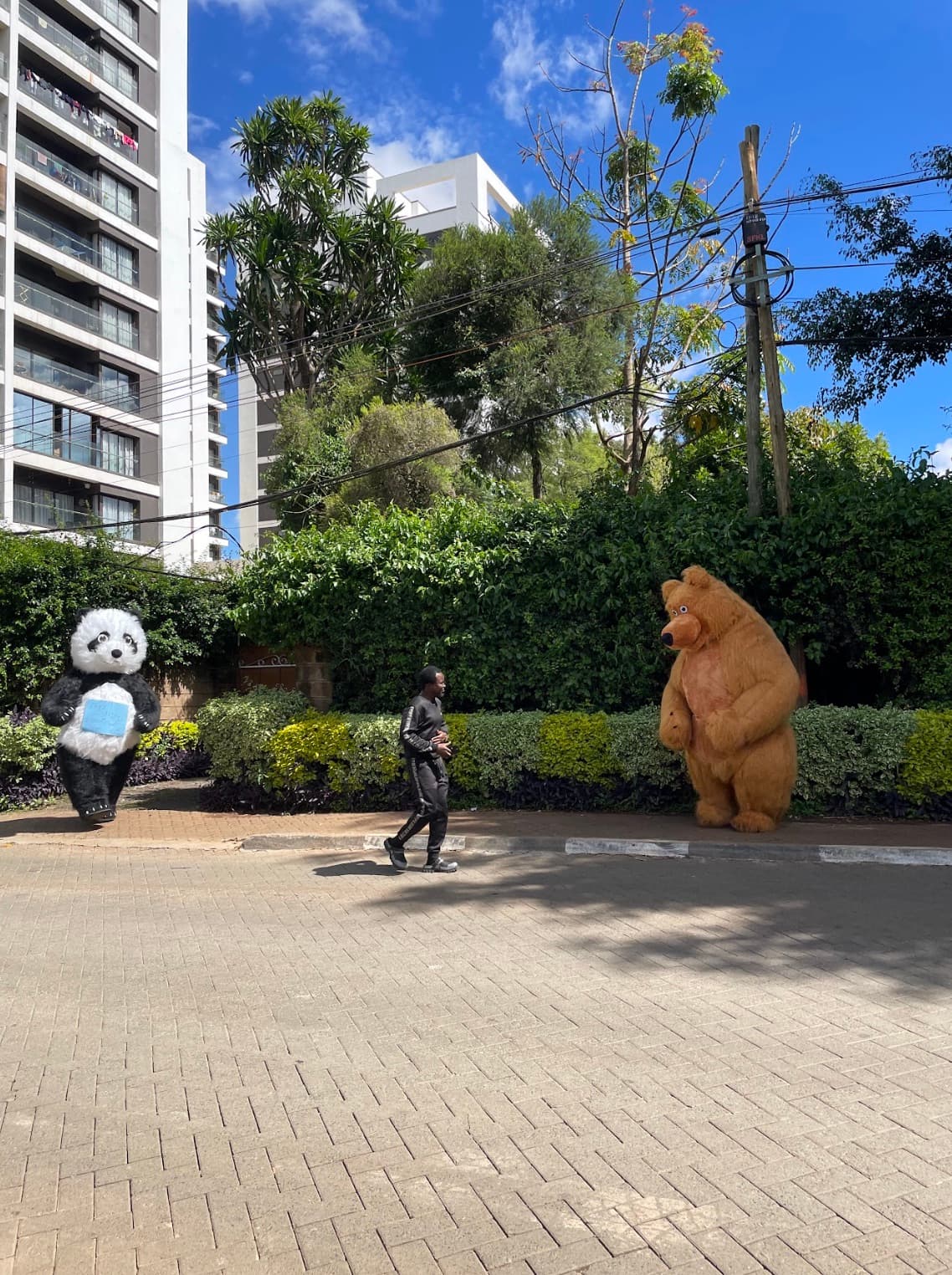 Panda and bear mascots on a Nairobi street